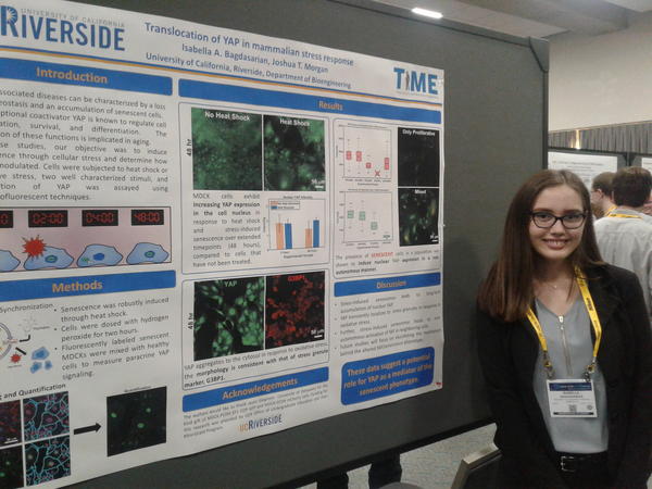 IAB_ASCB2018